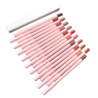 Crayon à lèvres minéral personnalisé avec logo de marque privée, haute pigmentation, application facile, imperméable, rose, certifié HALAL et MSDS