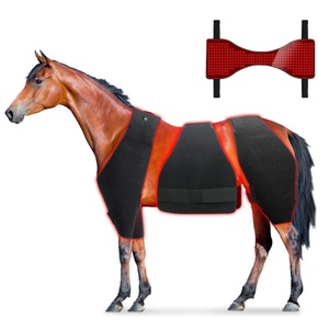 Appareil de thérapie par lumière rouge vétérinaire, tapis infrarouge LED réutilisable pour le traitement et les soins des chevaux, des chiens et des animaux de compagnie - Product Image 1