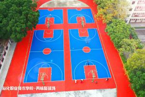 Pintura de corte acrílica de secado rápido INOLP para canchas de baloncesto instalaciones deportivas al aire libre resistentes a la intemperie hechas en China - Product Image 3