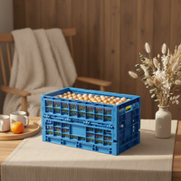 Caisse à œufs pliable en plastique PP pour volailles d'élevage, design maillé avec feuilles pliantes, caisse de transport et de stockage pliable pour poulailler