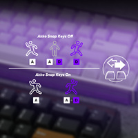 Clavier mécanique gaming OEM Ray68 HE Cherry, disposition 65%, rétroéclairage RGB, boîtier lumineux, DIY amusant, RT 0.01mm, effet Hall TMR, USB-C pour