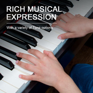 Tastiera Musicale a 88 Tasti Personalizzata di Fabbrica al Miglior Prezzo, Pianoforte Elettronico a 88 Tasti, Organo Elettronico, Tastiera Pianoforte Digitale - Product Image 4