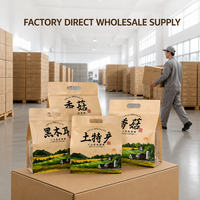 Sachet Doypack Personnalisé avec Poignée et Fermeture Éclair pour Spécialités Locales (Shiitake), Impression sur Mesure, Marque Privée OEM, Vente en Gros