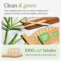 Vente en gros de brosses à dents en bois de bambou écologiques pour le voyage, avec logo gravé, manche en bambou