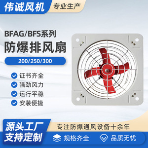 Ventiladores Industriales Antiexplosivos BFAG 200 250 300 y 380V de Alto Rendimiento para Seguridad - Product Image 5