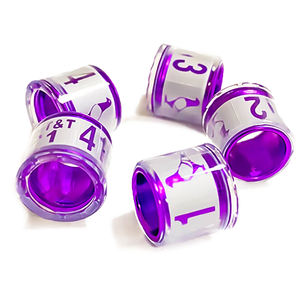 2025 Race Duif Ringen Hoge Kwaliteit Kunststof Aluminium Core Bands Met Aangepaste Inhoud Fci Leverancier - Product Image 1