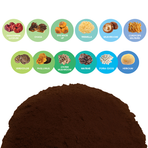Private Label Qualidade Herbal Mushroom Extract Pó-USDA Orgânico-Lions Juba, Reishi, Cordyceps, Chaga, Turquia Cauda