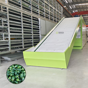 Séchoir automatique à bande maillée pour noix d'aréca, machine de séchage à bande maillée pour noix de bétel - Product Image 1