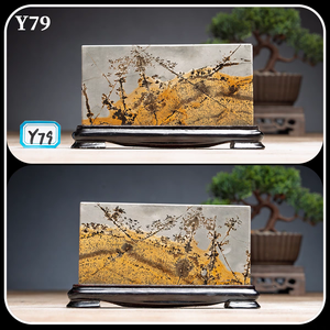 Đá thạch anh hình chữ nhật đánh bóng bán buôn, dùng làm đồ thủ công, tranh đá Jasper, đá bonsai Suiseki - Đá Guohua tự nhiên - Product Image 6