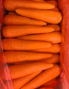 Cây trồng mới Trung Quốc tươi Cà rốt giá mỗi Tấn Nhà máy trực tiếp bán tươi màu đỏ cam cà rốt cho Maldives Dubai - Product Image 4