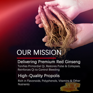 Films Orales Naturels de <span class=keywords><strong>Propolis</strong></span> et de Ginseng Rouge OEM – Complément Alimentaire pour Stimuler la Mémoire et l'Énergie chez les Adultes - Product Image 5