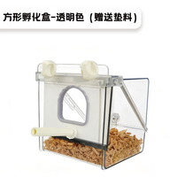 Incubateur pour perroquets, bassin de bain multifonctionnel, bol d'alimentation carré anti-éclaboussures, fournitures pour perroquets moine et oiseaux pivoine