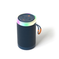 Altavoz Portátil Bluetooth 5.3 con Batería Extraíble, Altavoz Inalámbrico con Luz LED RGB, Tarjeta TF, Subwoofer Estéreo con Bajos