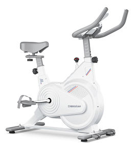 Vélos d'exercice Spinning Echo Smart Buke Cardio coach Cyclami <span class=keywords><strong>Cyclette</strong></span> X Allenamento Cycle à transmission par courroie en acier 120 kg - Product Image 3
