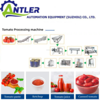 Volledig automatische tomatenpuree productielijn SUS304 industriële kwaliteit voedselverwerkingslijn