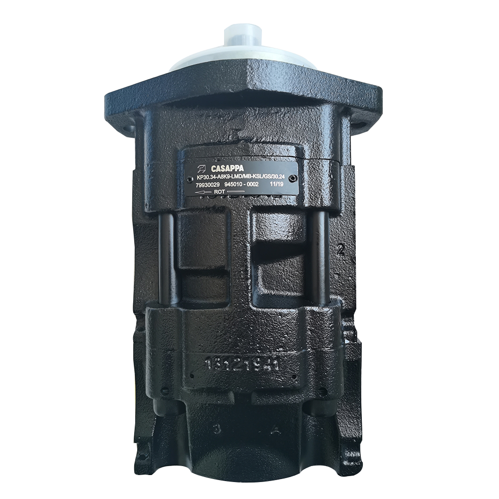 60191874 Gear Pump KP30.34-A8K9-LMD/MB-KSL/GS/30.24 Casappa