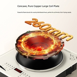 Cocina de Inducción Empotrada Fabricada en China, Cocina Eléctrica de Cerámica de Alta Potencia de 3500W para Uso Doméstico y Comercial - Product Image 4