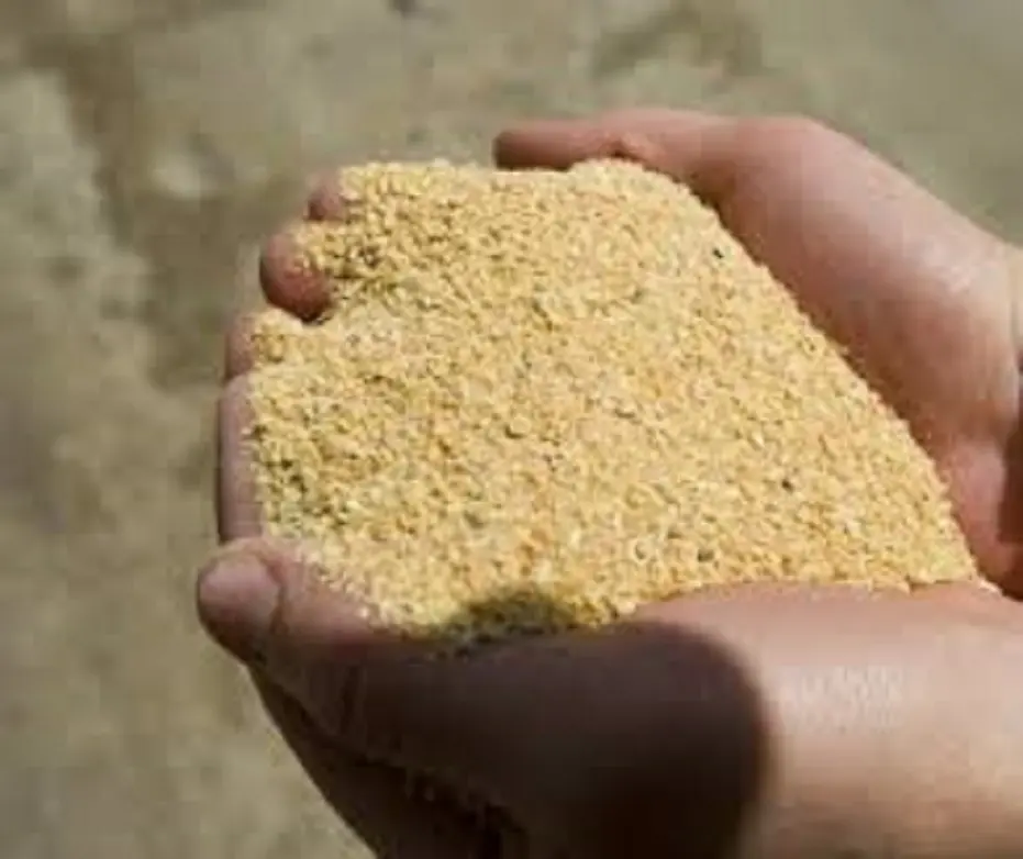 46% Protein Soybean Meal Best Price