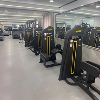Machine professionnelle de musculation des jambes 2 en 1 pour usage commercial en salle de sport, extension et flexion des jambes