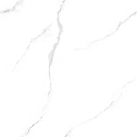 Carreaux de sol en céramique modernes de 800x800 mm, épaisseur 10 mm, pour murs intérieurs de salle de bain et de villa, design antibactérien en brique réfractaire