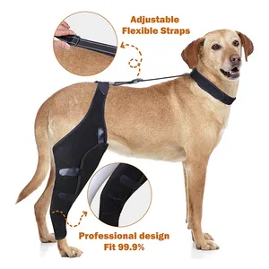 Wholesale Dog Canine Knee Brace/Support Brace Hock Joint Wrap Pet/Adjustable Dog Rear Leg Knee Legs Joint Wrap Protector