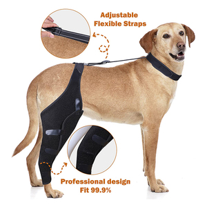 Großhandel Hund Eckzahn Knie orthese/Stütze Stütze Sprunggelenk Wickel Haustier/verstellbarer Hund Hinterbein Knie Beine Gelenk wickels chutz - Product Image 1