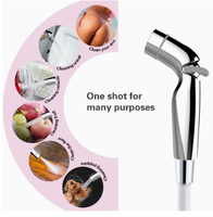 Ensemble de pulvérisateur de bidet portable chromé pour salle de bain, pistolet de pulvérisation pour toilettes avec tuyau et support, robinet d'angle pour le nettoyage des toilettes