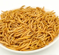 Vers de farine séchés en gros, riches en nutriments, à l'épreuve de l'humidité, provenant d'une ferme d'élevage de vers de farine, pour poulets et animaux de compagnie