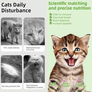 OEM/ODM Palitos de Hierba Comestibles para Gatos y Perros - Snack Masticable para el Cuidado Dental e Inmunológico, Natural, de Rápida Absorción y Seguro - Product Image 4