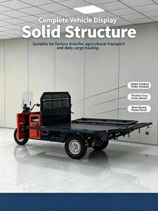 Triciclo de Carga Pesada de 3 Ruedas, 1000W, 60V, con Caja Plana Grande, para Transporte Agrícola y Aplicaciones Versátiles - Product Image 4