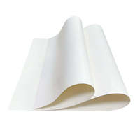 Papier synthétique PP XUECHENG, matière première résistante aux UV pour la fabrication d'étiquettes de fleurs, de poivrons, de tomates et de plantes aromatiques
