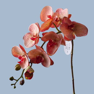 Decoración para Sala <span class=keywords><strong>de</strong></span> Estar, Flor Artificial <span class=keywords><strong>de</strong></span> Phalaenopsis, Orquídea <span class=keywords><strong>de</strong></span> Estilo Europeo, 8 Cabezas, Tacto Humectante - Product Image 4