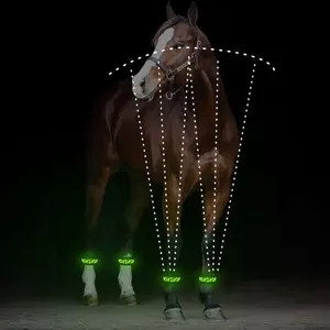 LINLI Tali Lampu Keselamatan LED, Aksesori Kaki Kuda LED Menyala, Tali Kaki Kuda Berkilau untuk Berkuda