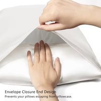 Vente en gros de taie d'oreiller en soie, échantillon gratuit, couleur unie, lavable, 100% polyester, taie d'oreiller personnalisée en satin avec enveloppe
