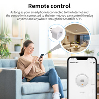 Enchufe Inteligente WiFi Estándar Europeo con Módulo ESP32 Integrado, Enchufe Personalizado ODM de 2 Pines, Control Remoto por Aplicación, 16A/20A, 3250W