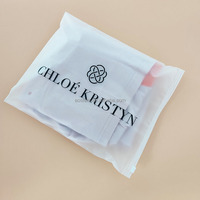 Personnalisé de haute qualité PE biodégradable mat givré réutilisable fermeture éclair sacs Valve pour vêtements sous-vêtements emballage sérigraphie