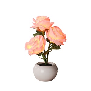 Luz Nocturna Pequeña de Lujo con Forma de Rosa Eterna, Luz de Ambiente para Dormitorio, Aromaterapia, Decoración Creativa, Regalo para Niñas - Product Image 5