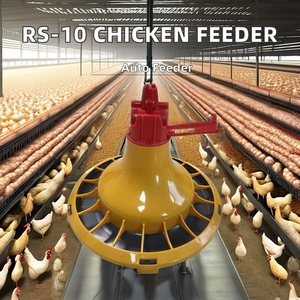 <span class=keywords><strong>New</strong></span> Bán Lẻ Nhà Sử Dụng Tự Động Gà Khay Trung Chuyển 1-Năm PP Làm Cho Gia Cầm Farming-Cho Lớp & Gà Thịt Gà - Product Image 6