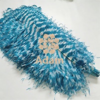 Plumes de zèbre et d'autruche bicolores teintes de 60-65 cm en gros pour coiffes de carnaval, sacs à dos et décorations de spectacles sur scène