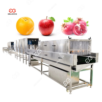 Gelgoog Wasapparatuur Voor Sapproductie Sinaasappelvruchten Wasmachine Apple Fruit Wasmachine
