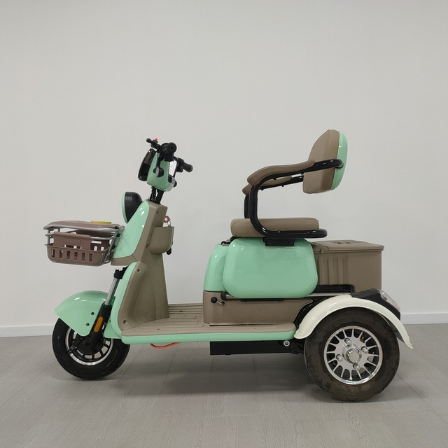 Electric Tricycle Scooter 3-Wheel Open Body Brushless Motor 3-Passenger for Adults Price