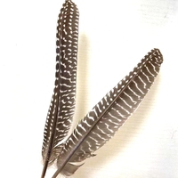 Plumes naturelles de 17 à 25 cm en gros, plumes d'ailes de poulet de Guinée, plumes de coq, plumes de pointe, plumes de plumeau pour décorations de mode