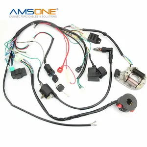 Amsone Custom Promotion Stereo Cable Adapter Waterproof Relay Car Radio Wiring Harness