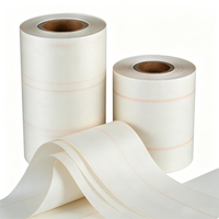 Papier polymère Nomex 6642, film imide, matériau isolant en papier Nomex, papier isolant en aramide chinois AMA pour transformateurs et moteurs