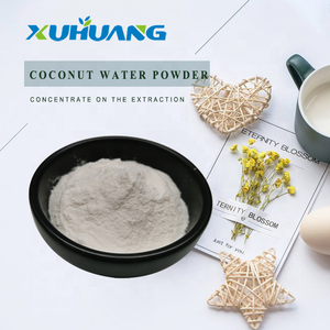 Bubuk kelapa kering semprot Premium 25kg bubuk jus air kelapa murni - Product Image 2