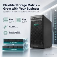 Supplier Server Hpe Proliant Ml110 Gen11 Gen10 Gen9 G11 G10 G9 Berkualitas Tinggi 5.5u 4.5u Harga Servidores Hosting Tower Server