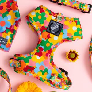 Arnés para mascotas con degradado de alta calidad, diseño único personalizado, <span class=keywords><strong>abrigo</strong></span> para perro, oso de peluche/arneses para perros grandes y ligeros - Product Image 3