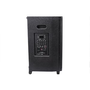 <span class=keywords><strong>PL</strong></span>-4415B профессиональная портативная тележка для караоке динамик с беспроводным микрофоном для домашних развлечений - Product Image 5