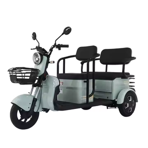 <span class=keywords><strong>Scooter</strong></span> eléctrico de fábrica Venta caliente 60V 20Ah 500W Bicicletas eléctricas Triciclo eléctrico de 3 ruedas - Product Image 2