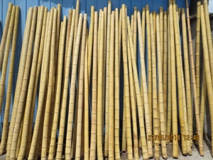 Pólo De Bambu Cru De Grande Diâmetro, pólos De Bambu Grande Uso De Construção De Alta Qualidade, polos De Bambu Moso De China Tamanho Feito Sob Medida - Product Image 6
